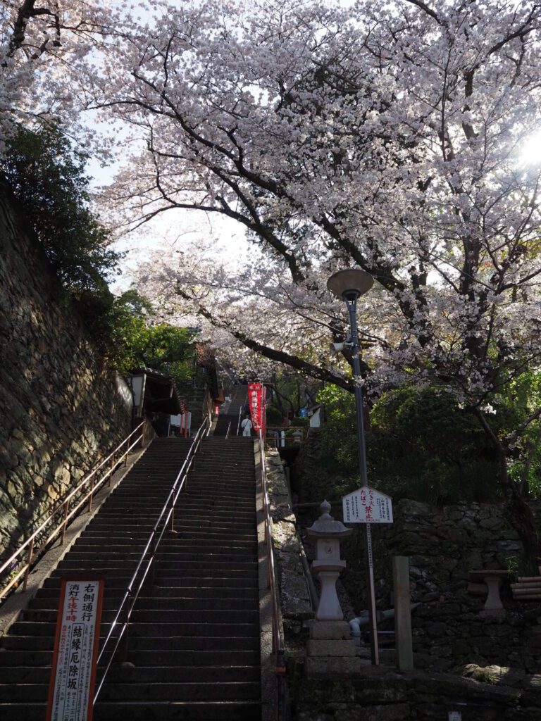 紀三井寺　階段