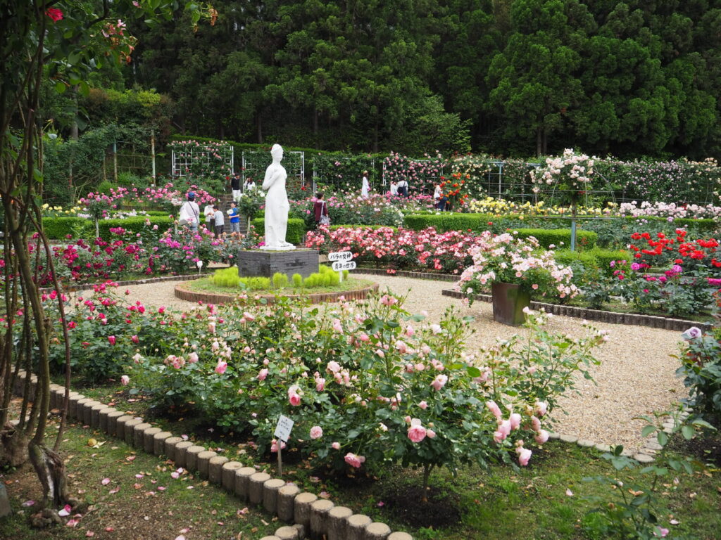 霊山寺　バラ庭園