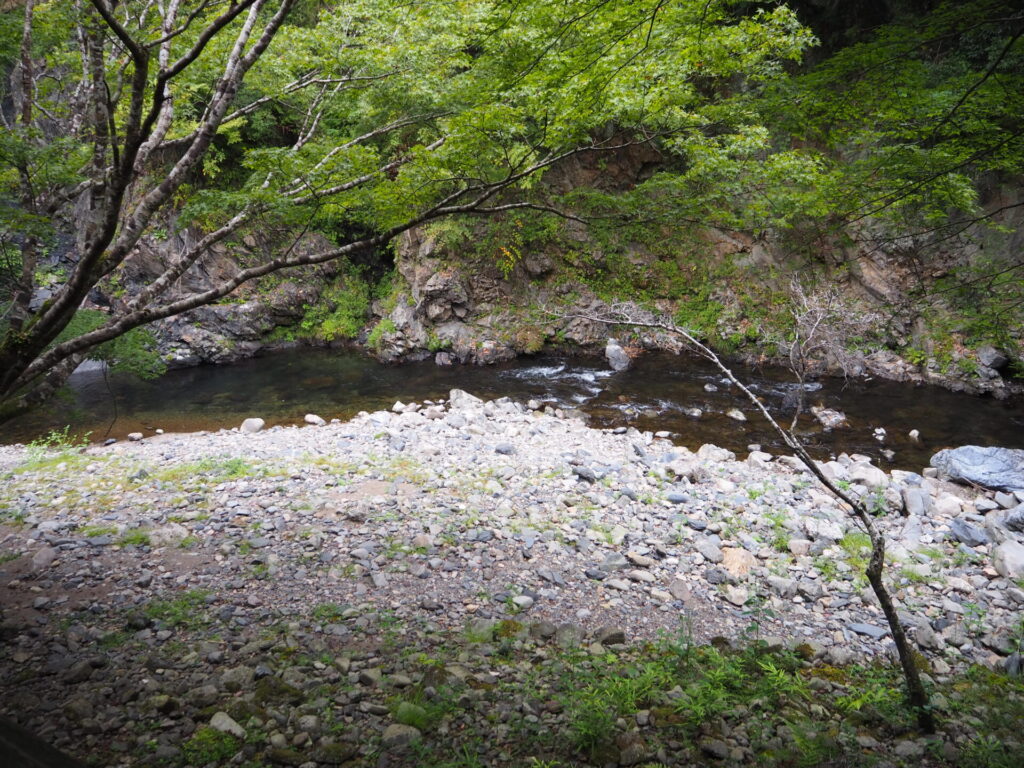 高雄錦水亭　川床